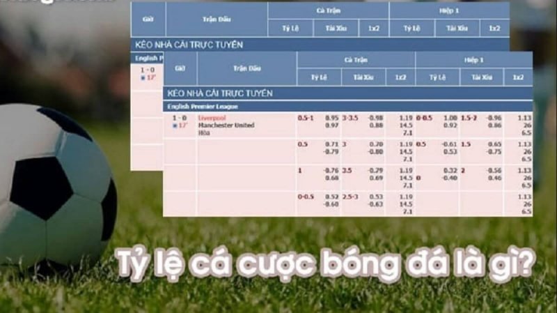 Hướng dẫn cách đọc tỷ lệ kèo cá cược bóng đá NBET Hướng dẫn cách đọc tỷ lệ kèo cá cược bóng đá NBET