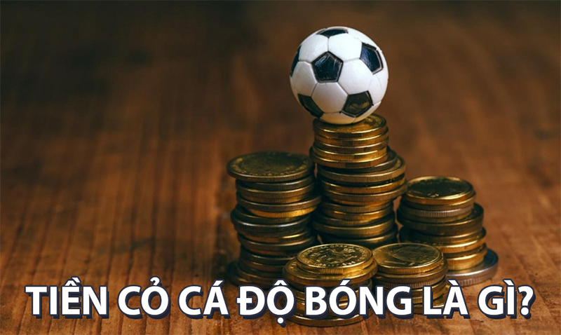 Sơ bộ về loại hình tính tiền cỏ bóng đá như thế nào?