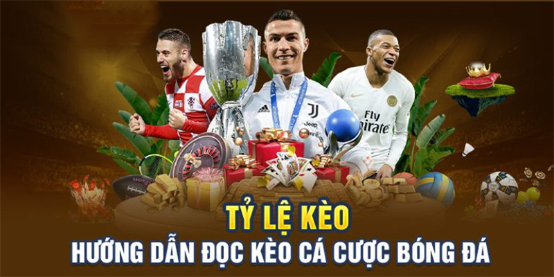 Đa dạng hình thức soi kèo cược bóng đá hấp dẫn